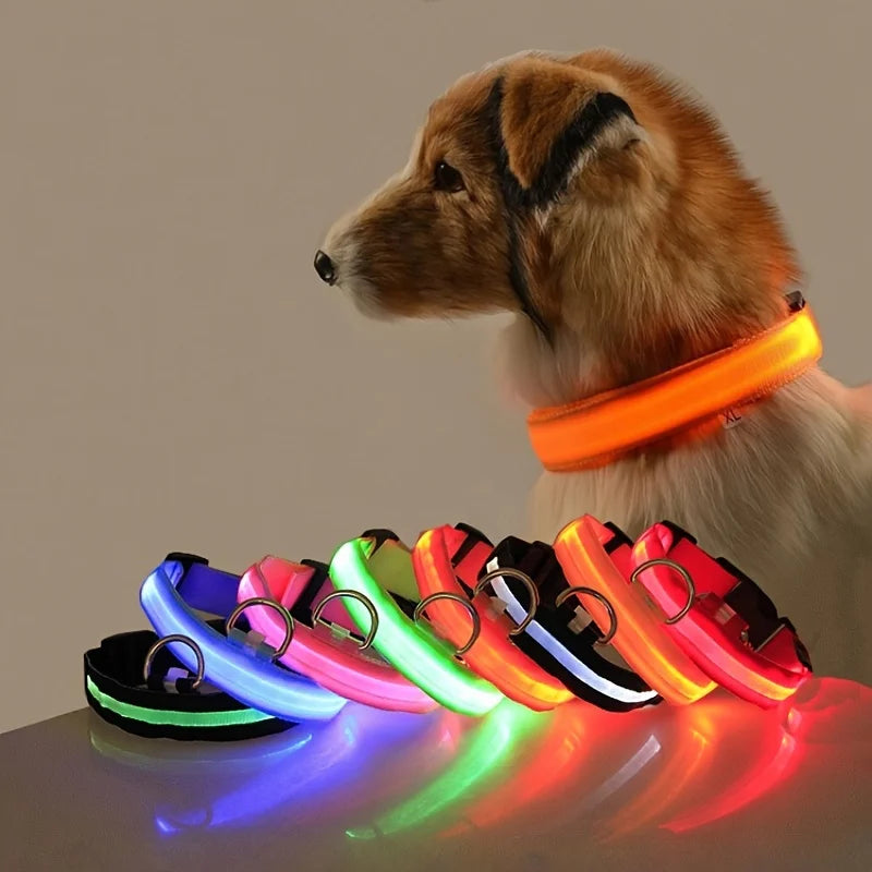 Correa Led para perro