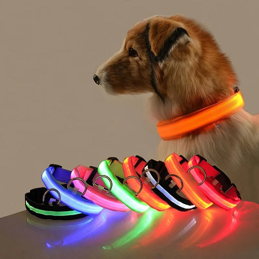 Correa Led para perro